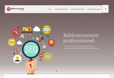 https://www.referencement-pro.fr
